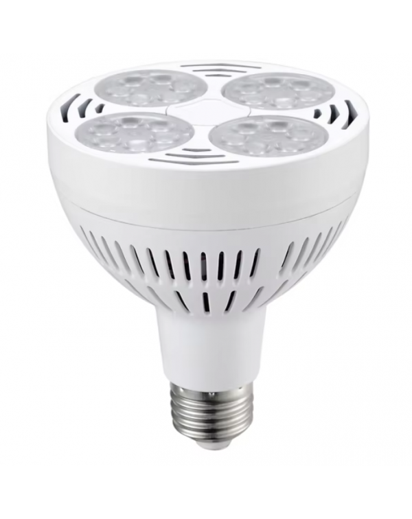 LED par30 light  LED par30 light