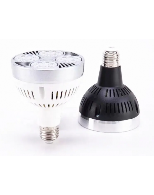 PAR38 LED light  PAR38 LED light