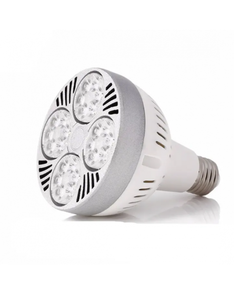 LED par30 light for jewelry 