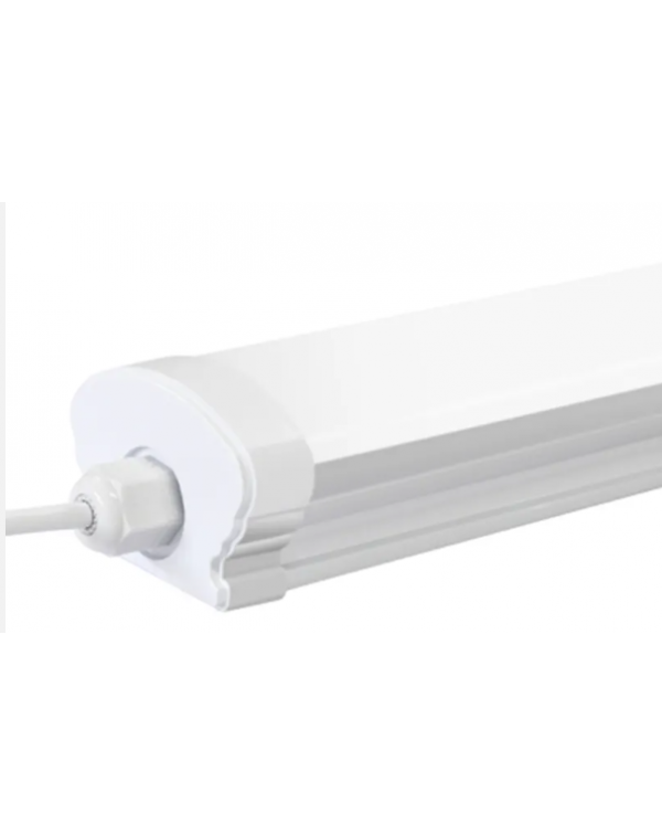 LED triproof light LED triproof light